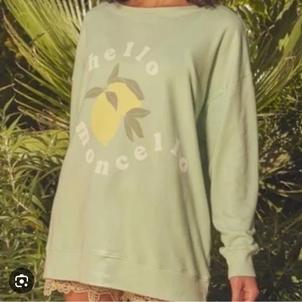 NWT Wildfox Hello Limoncello Roadtrip sweatshirt in Shore Green XS